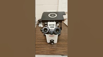 Metallographic sample preparation #alalloy #opticalmicroscopy