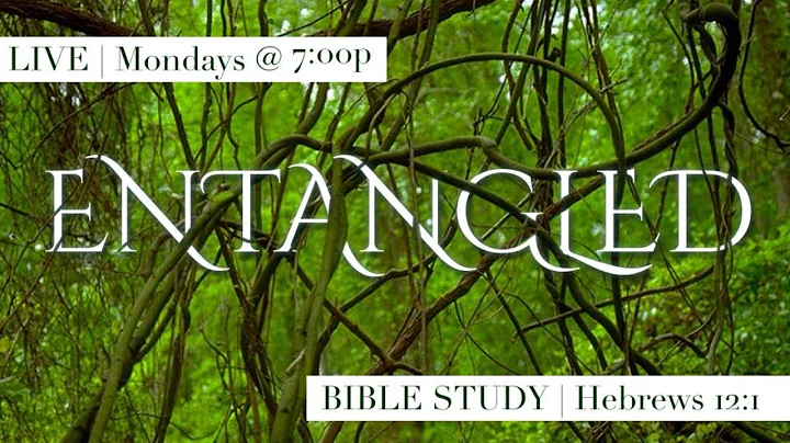 Bible Study: Entangled | Part I | Pastor Jennifer ...