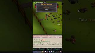 beef pet on my group ironman! #oldschoolrunescape #pet #ironman
