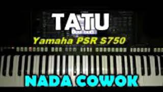 Download Lagu organ tunggal TATU. MP3