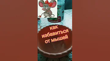 Как избавиться от Мышей 100% способ!!!