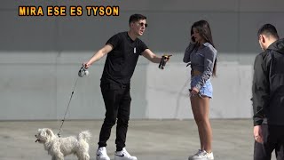 ME PUEDES VIGILAR A TYSON 😂 #1