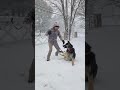 Max feliz con la #nieve #perro #K-9