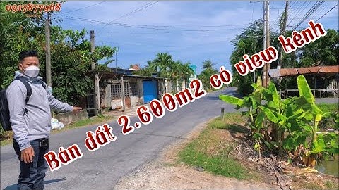 Ms187. Review khu đất 2.600m. Ấp tân hưng. Xã tân thuận bình. Huyện chợ gạo. Tiền giang