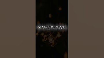 #قران_كريم #قرآن #تلاوة_خاشعة #تلاوة #تلاوات #سورة #المنشاوي