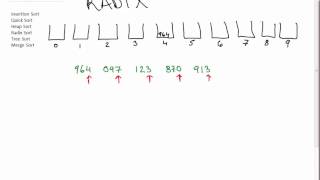 Celebrity The All-In-One Sorting Algorithm Video (Insertion, Quick, Heap, Radix,Tree, Merge) Wealth