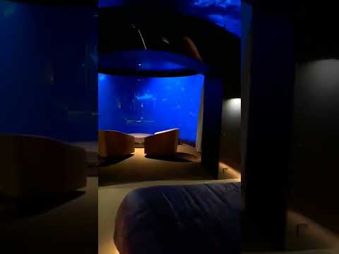 Underwater Hotel | Luxury Hotel | Maldives Trip | Luxury Hotel