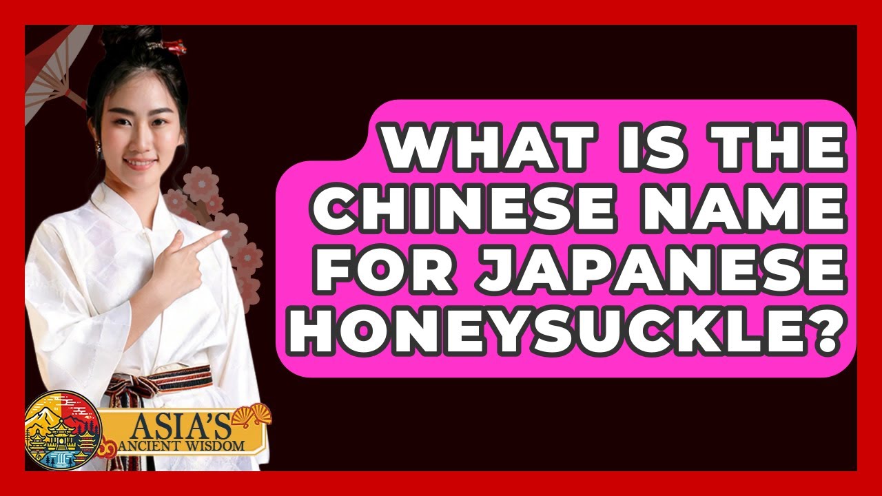 What Is The Chinese Name For Japanese Honeysuckle? - Asia's Ancient Wisdom