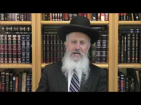 הגאון הרב אברהם יוסף שליט"א האם צריך להמתין שש שעות על טעימה של מאכל בשרי