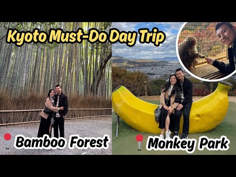 The PERFECT Kyoto Day Trip: Bamboo Forest, A5 Wagyu & Monkey Park!