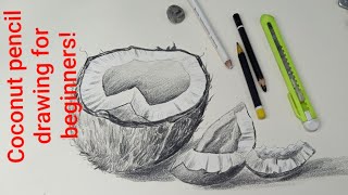 Coconut Pencil Drawing Simple Steps Coconut Pencil Drawing Simple Steps