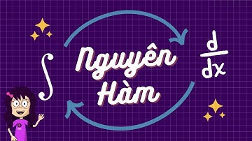 Nguyên Hàm - Bản Chất Của Nguyên Hàm (Antiderivative) | Vật Lý Chill