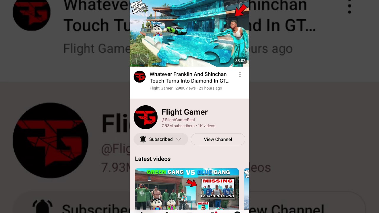 flight gamer