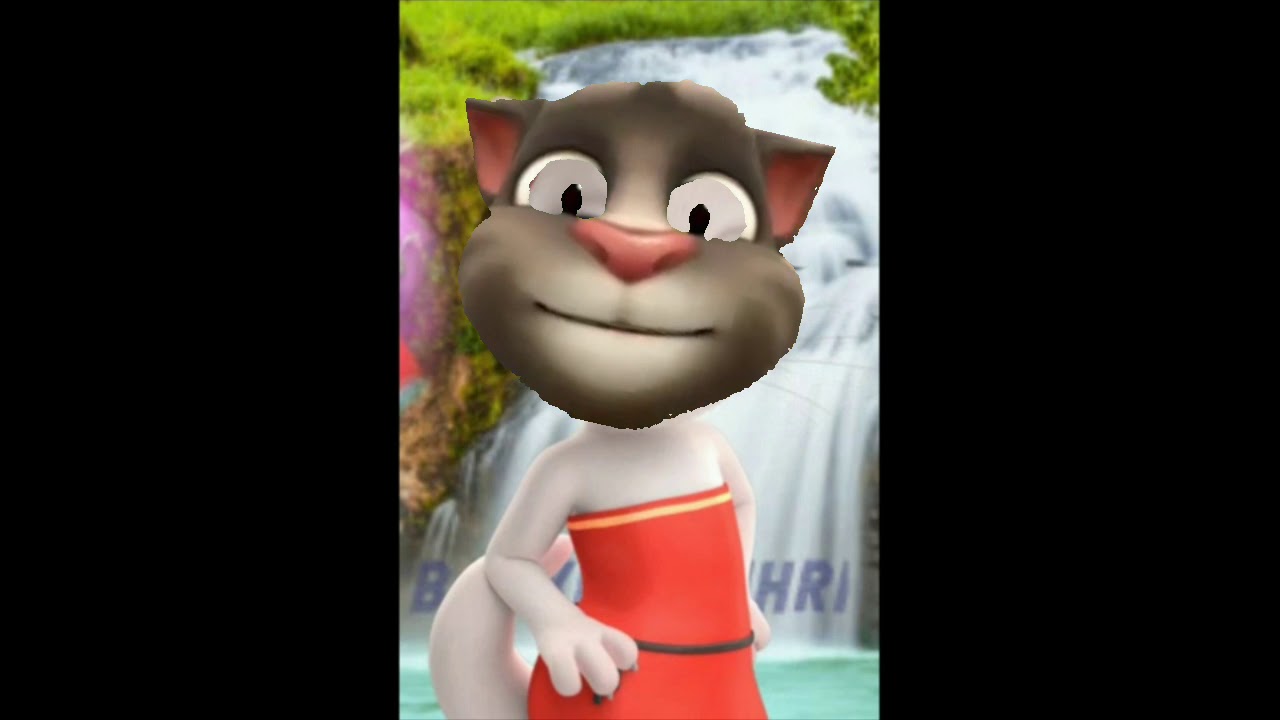 Gadi Fortuner Le Aayo