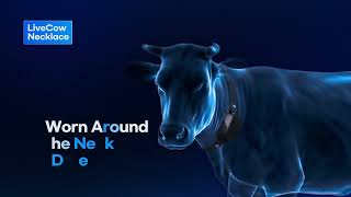Livecow: The Advanced AI & Data Technology Behind Smart Farming