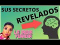 Analizemos El "Misterioso" Cerebro Del Hombre