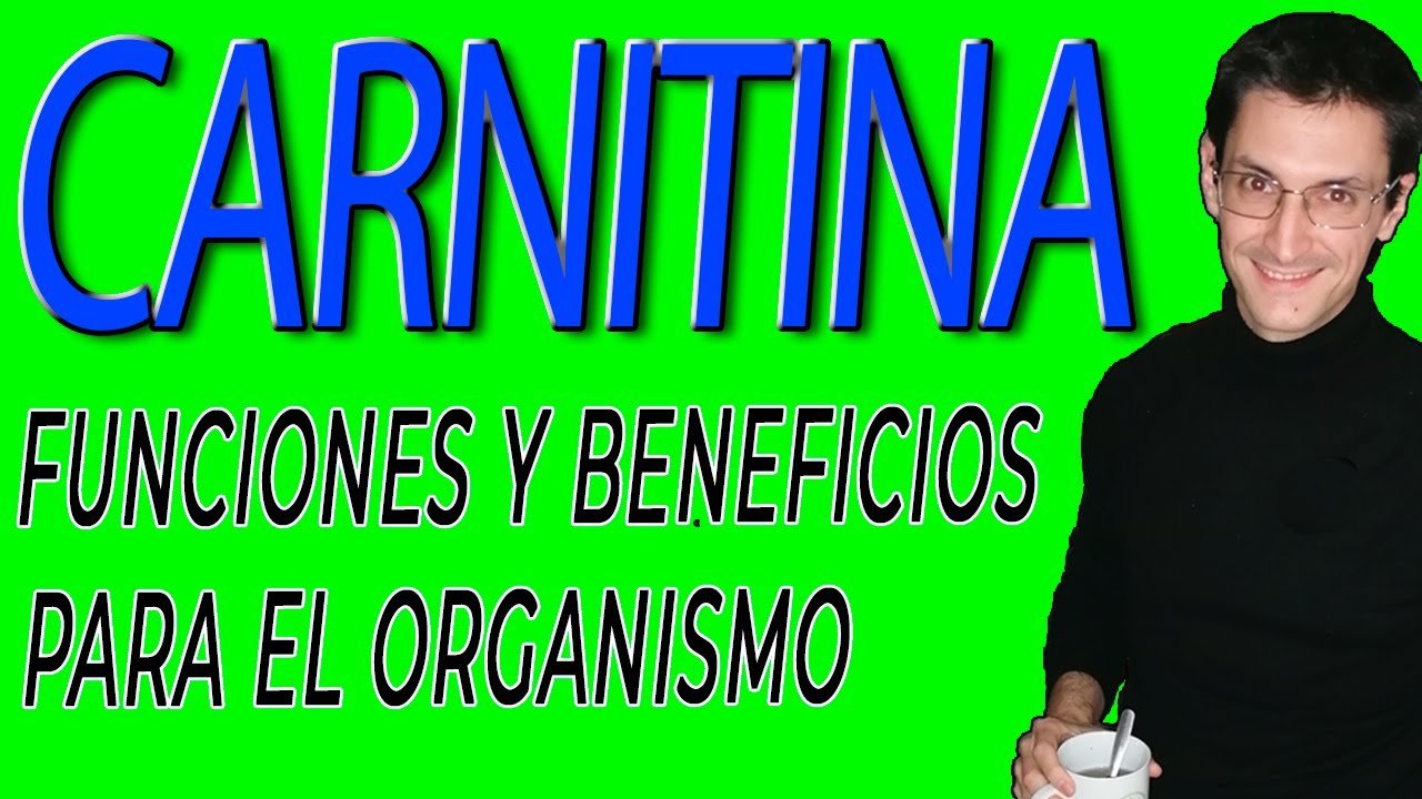 l carnitine beneficios en español ¿Qué funciones tiene y cuales beneficios nos aporta la CARNITINA?