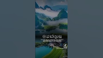 قرآن كريم راحةنفسية يخشع القلوب #duet #المصحف #صوت_جميل #لايك #الرحمن #دويتو #الطحان #اكسبلورصوت على