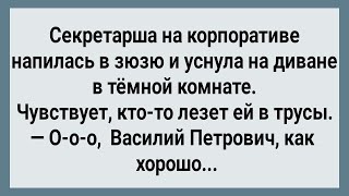 Как Секретарша На Корпоративе Уснула! Сборник Свежих Анекдотов! Юмор! Позитив!