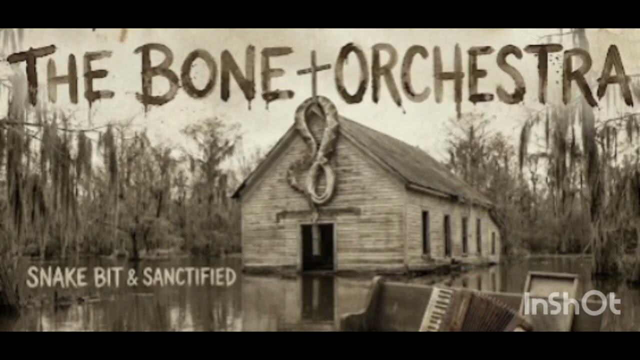 The Bone Orchestra - Black Cat Bone