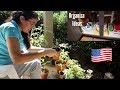 MI VIDA EN USA 🇺🇸 | LAS PLANTAS DE MI MAMA ,BODA DEL AMIGO DE MI ESPOSO ,ORGANIZA CONMIGO