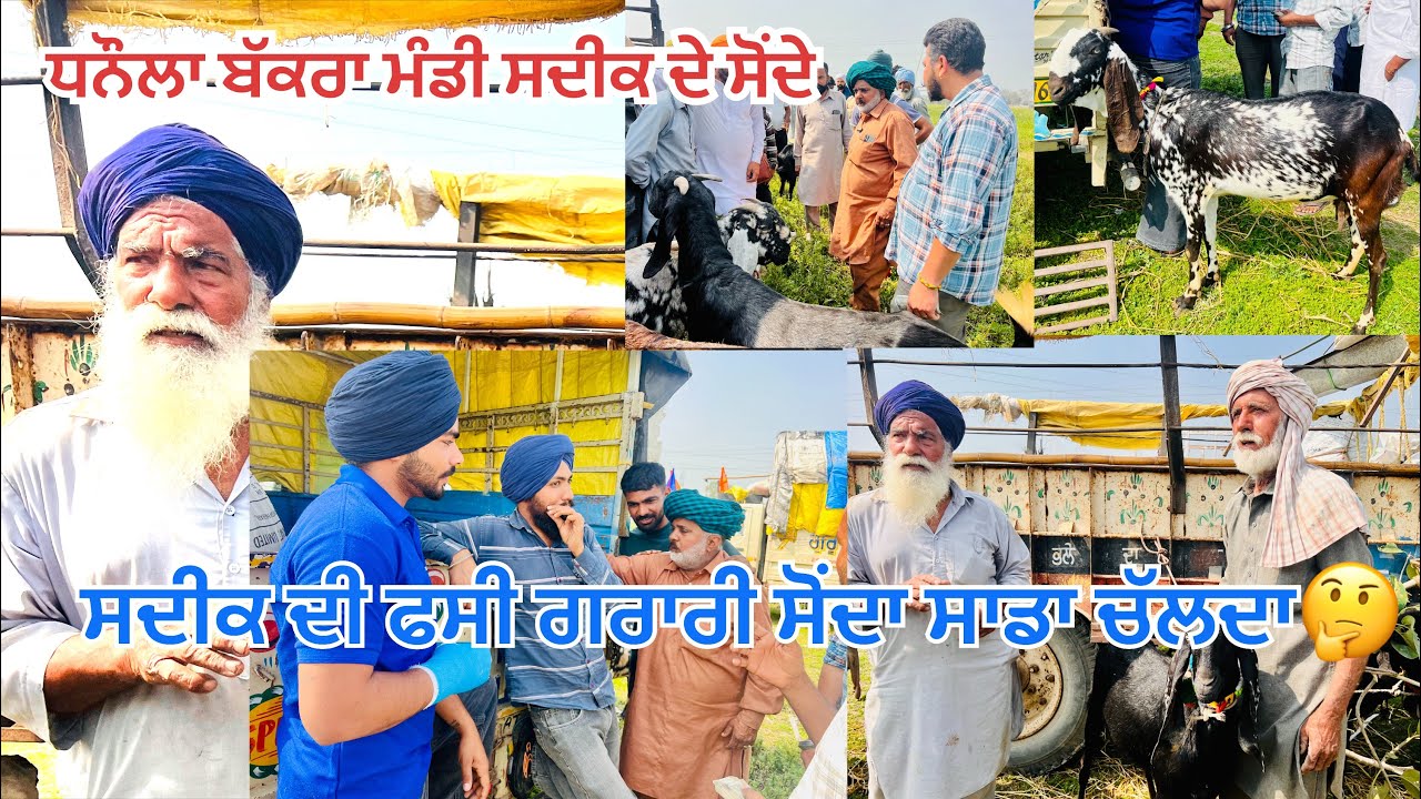 ਸਦੀਕ ਨੇ ਬੱਕਰੀਆ ਦਾ ਸੋਂਦਾ ਅੜੀ ਨਾਲ ਕਰਾਇਆ ਸੋਦਾ ਸਾਡਾ ਚੱਲਦਾ#bakramandi #naveedkhangoatfarm #goatfarming 