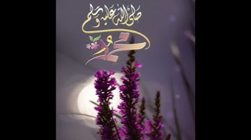حالات واتس اب يوم الجمعه🖤 مقاطع قران انستقرام //ستوريات //آيات قرانيه //بدون حقوق