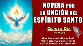 Novena por la Unción del Espíritu Santo – Quinto Día | ¡Luz Inmortal! ¡Divina Luz!✝