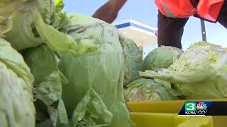 Program aims to fight food insecurity for Yolo County farmworkers
