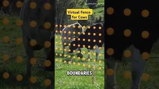 Famous Virtual Fence for Cows (@gallagher_nz) #tech #nature Net Worth