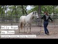 Belly Rope w/a Wild Mustang | Day Three OK EMM