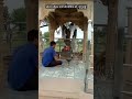 सोनगरा चौहान  मामा जी भोमिया जी चंदराराई जय भोमियाजी🙏🙏🚩🙏🚩