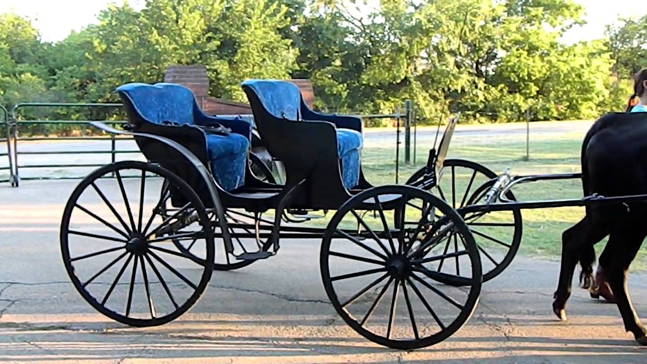 antique amish buggy for sale