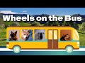 Wheels on the Bus(Dog Cover)