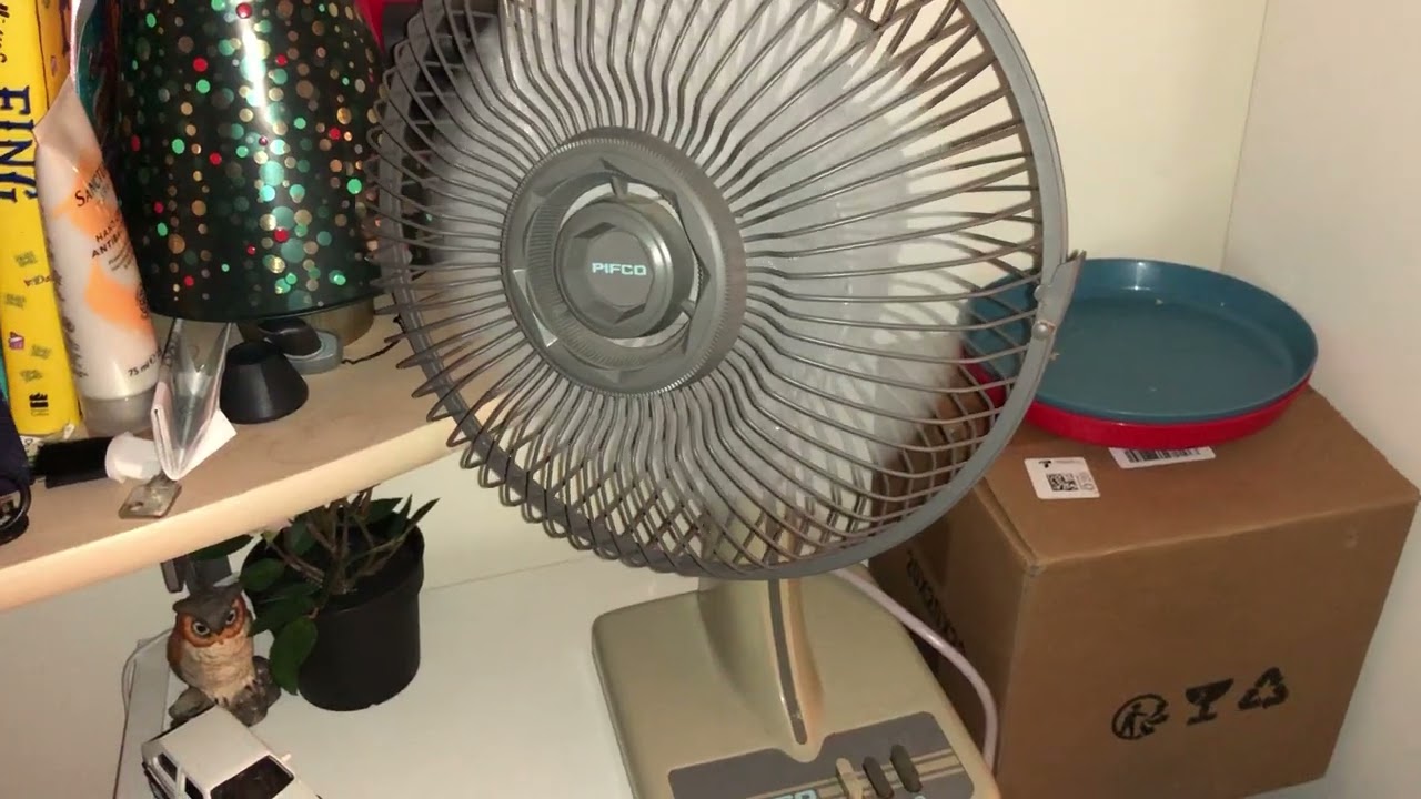 Fan collection of February 2026 