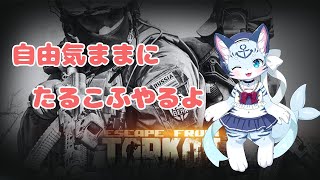 【EscapeFromTarkov】タルコフ市をおさんぽするよ【ぶいソロ配信】【新人Vtuber】