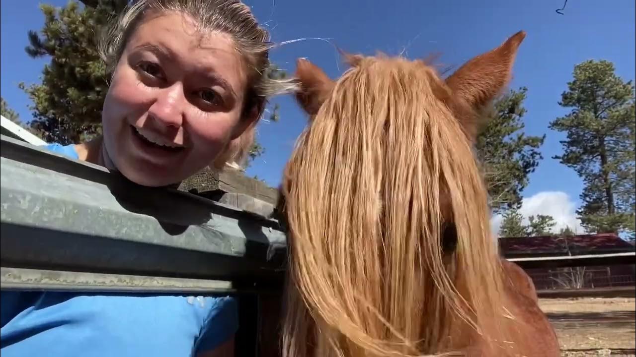 Hot Manure Versus Cold Manure YouTube