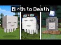 The BIRTH to DEATH of a Minecraft Happy Ghast!