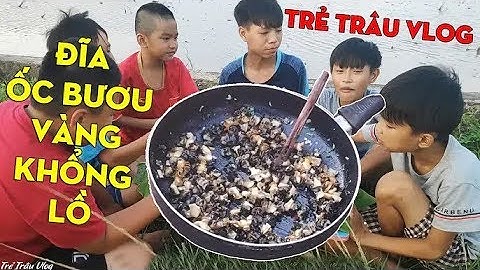 Trẻ Trâu Vlog   Chảo ỐC BƯƠU VÀNG Xào Sả Ớt  Chuối Xanh Cực Ngon  Thơm Phong Cách Trẻ Trâu Sẽ NTN