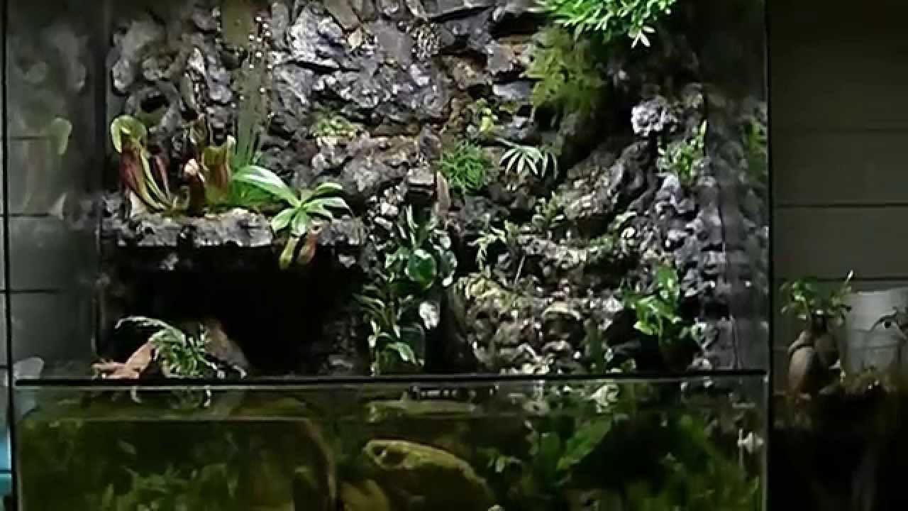 paludarium, riparium, aquarium, vivarium with waterfall