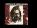 BUNNY WAILER Soul Rebel Retrospective 