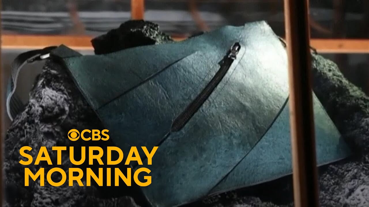 Scientists unveil leather handbag derived from dinosaur DNA - YouTube