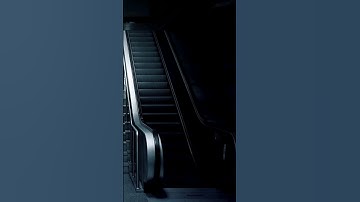 Why Escalators have brushes?