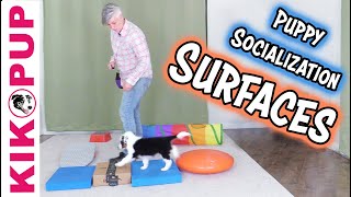 Socialization to Different Surfaces  Puppy Training