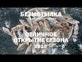 Много окуня на безмотылку! Отличное открытие сезона 2020!