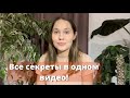 Грунт, удобрения и препараты  для растений! Делюсь своими секретами.