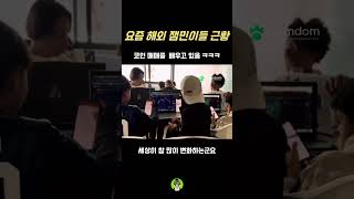 요즘 해외 잼민이들 근황