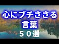あなたの心に効く言葉を紹介!辛い時迷った時悩んだ時に聞いて欲しい【自然の中でゆっくり雑学】