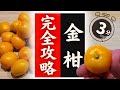 【金柑】の美味しい食べ方!驚くほど美味しくなる!