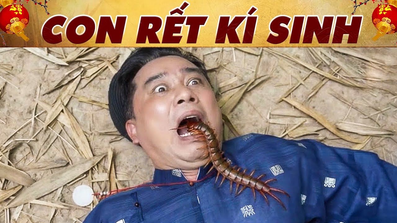 CON RẾT KÍ SINH🔥PHIM CỔ TÍCH VIỆT NAM 2026🔥CỔ TÍCH VIỆT NAM🔥CỔ TÍCH HAY NHẤT🔥YÊU CỔ TÍCH 🔥CỔ TÍCH